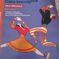 Caro Immaginar 