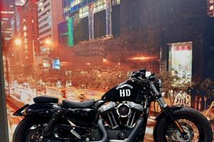 Harley-davidson 1200 Sportster Forty-Eight
