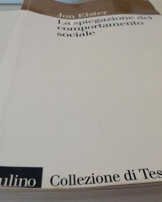 La spiegazione del comportamento sociale