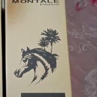 Arabians Tonka Montale