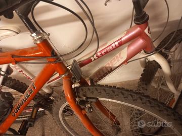 biciclette usate poco