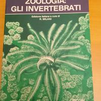 zoologia degli invertebrati 