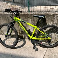 Mountain bike