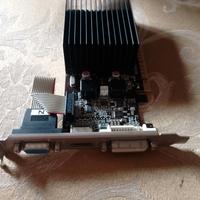 Scheda video GeForce gf210 1gb