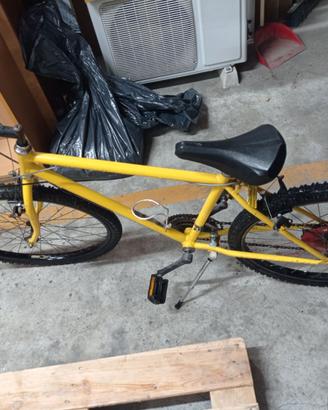 Mountain Bike
