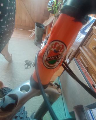 Mountain bike ammortizzata 
