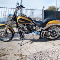 harley davidson softail custom 1584