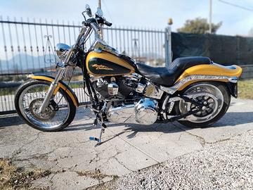 harley davidson softail custom 1584