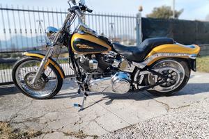 harley davidson softail custom 1584