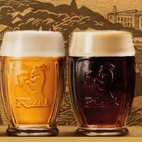 Boccali Birra Kozel NUOVI