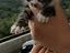Immagine 4