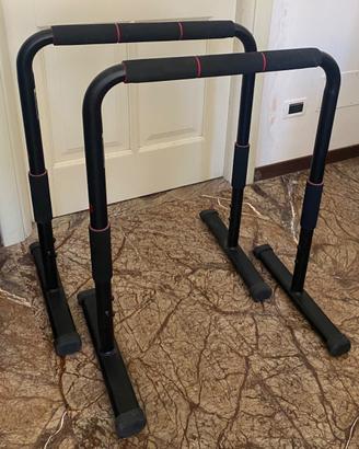 Parallele da calisthenics
