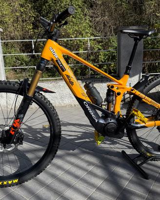 Bicicletta elettrica