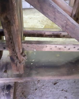 Morsa in legno