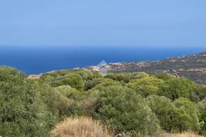 2 LOCALI A TRINITÀ D'AGULTU E VIGNOLA
