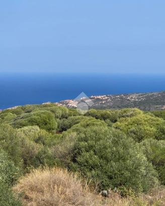 2 LOCALI A TRINITÀ D'AGULTU E VIGNOLA