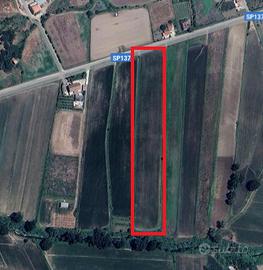 Terreno agricolo - comune di Capaccio-Paestum