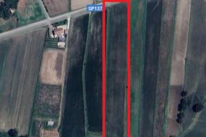 Terreno agricolo - comune di Capaccio-Paestum