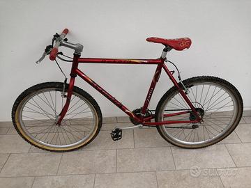 MOUNTAIN BIKE