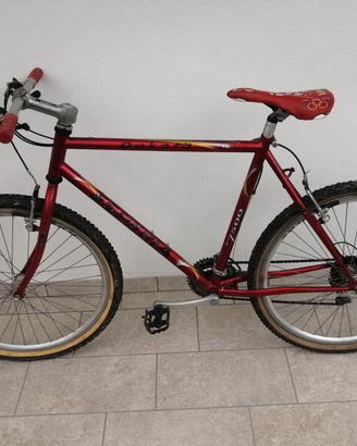 MOUNTAIN BIKE