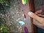 Immagine 6