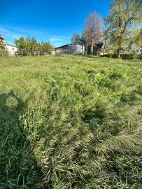 Terreno pianeggiante edificabile di ca 2.900 mq