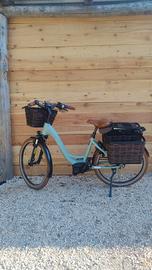 Riese & Muller SWING ReM R&M