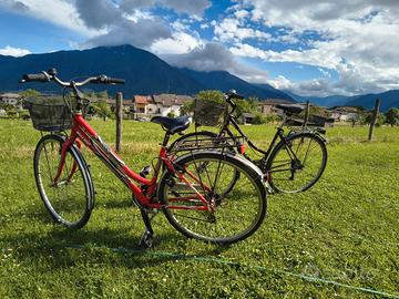 bici city bike