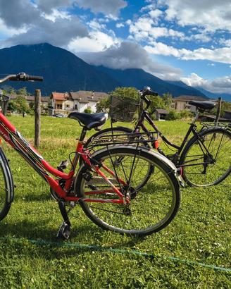 bici city bike