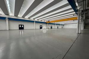 CAPANNONE A CARATE BRIANZA