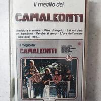 camaleonti 