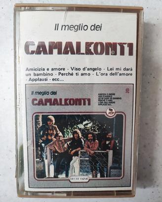 camaleonti 
