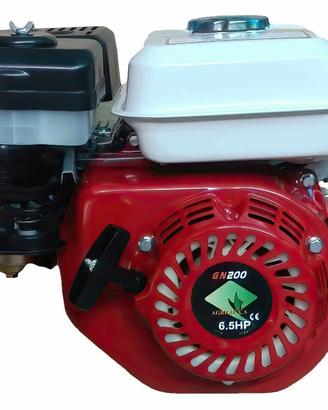 motore GN200 6.5 HP puleggia e filtro bagno olio