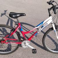 Mountain-bike
