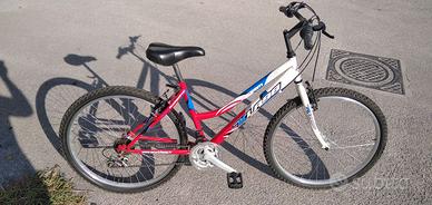 Mountain-bike
