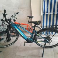 Bicicletta Elettrica da trekking