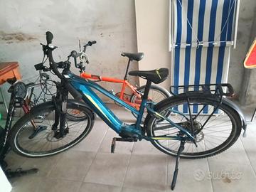 Bicicletta Elettrica da trekking