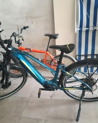 Bicicletta Elettrica da trekking