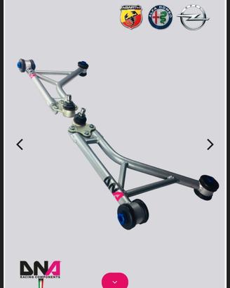 DNA racing