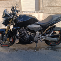 Honda hornet