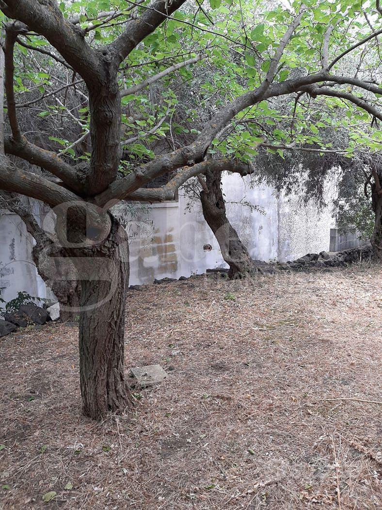 Casa Indipendente Belpasso [Cod. rif 3262618VRG] - Vista 5
