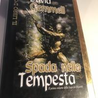 SPADA NELLA TEMPESTA FANUCCI EDITORE DAVID GEMMELL