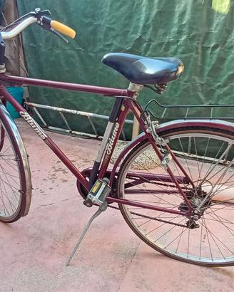 Bici Uomo Blume 26"