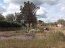 s-v-pischina-ruia-terreno-uliveto-con-casa-c2