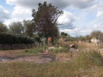 S.V. Pischina Ruia-Terreno uliveto con Casa C2