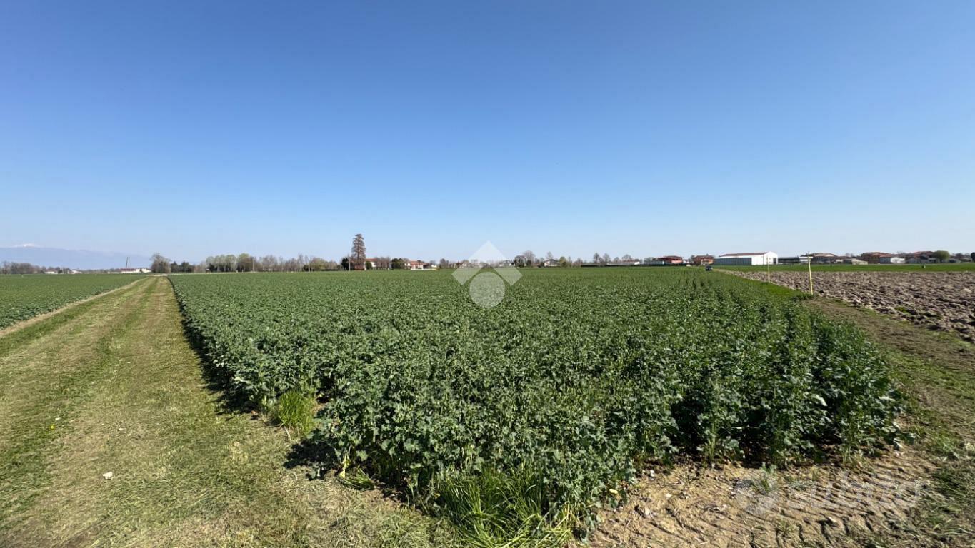 TER. AGRICOLO A SAN GIORGIO IN BOSCO - Altro