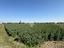 Immagine 7