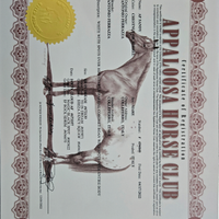 Appaloosa