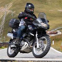 Suzuki xf 650 freewind