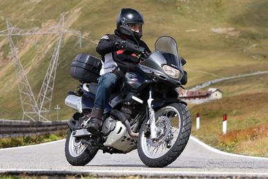 Suzuki xf 650 freewind